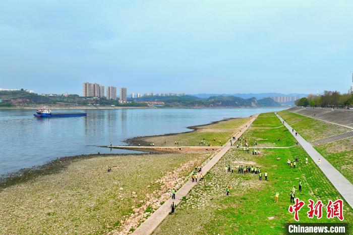 在宜昌城區(qū)長江岸畔，市民化身“護江使者”沿江而行 周星亮 攝