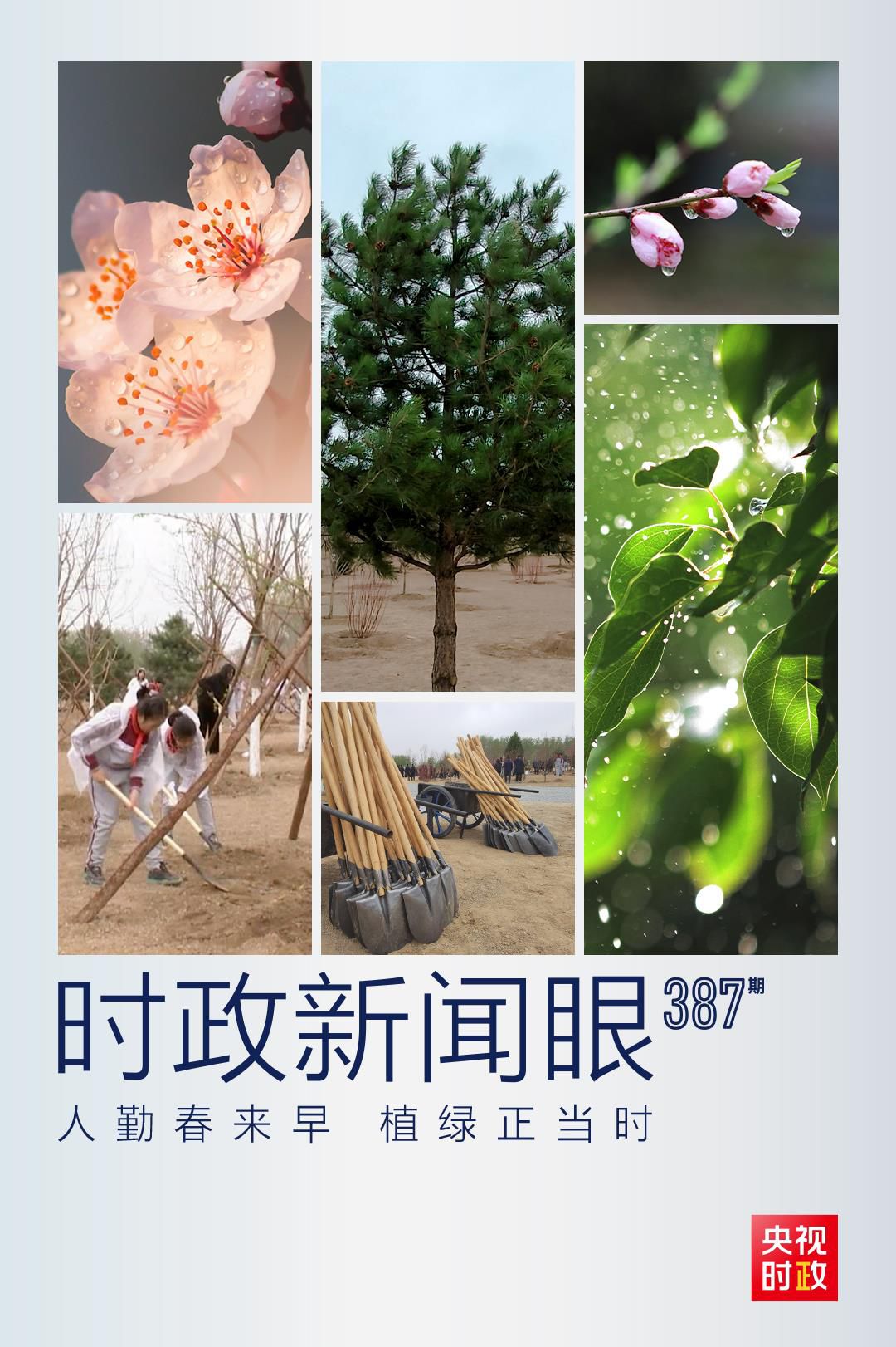 在今年首都義務(wù)植樹現(xiàn)場，習(xí)近平這三句話飽含深意